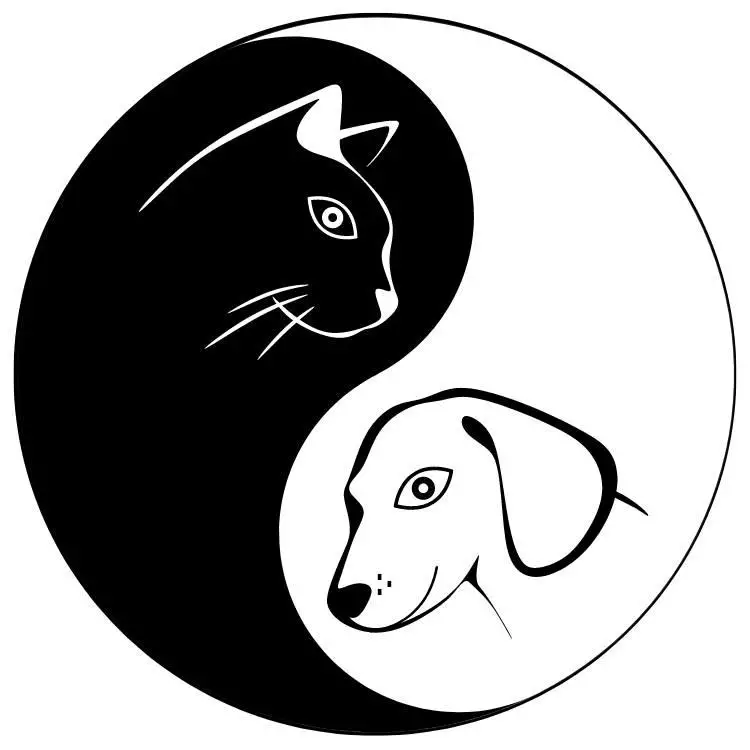 YinYang-logo